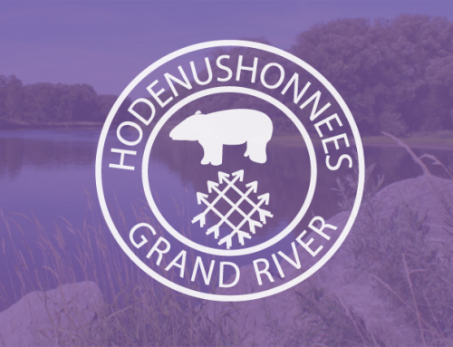 Financial Statements of Haudenosaunee Development Institute – Year Ending March 31, 2017