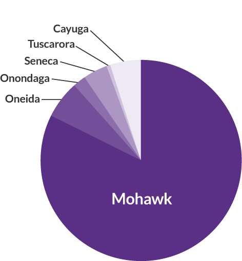 language pie chart